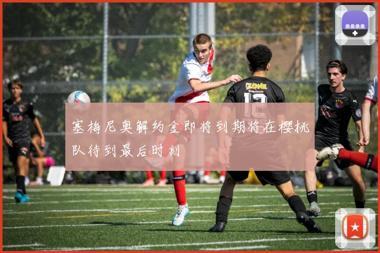 塞梅尼奥解约金即将到期将在樱桃队待到最后时刻